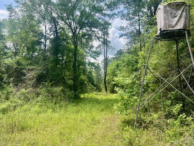 000 Jessie Stogner Road