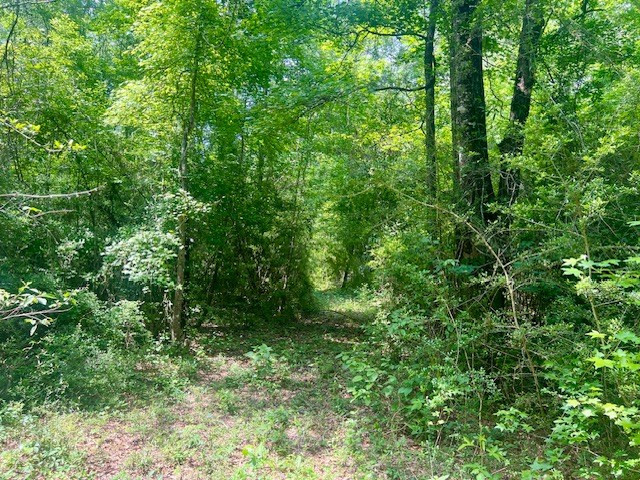 000 Jessie Stogner Road