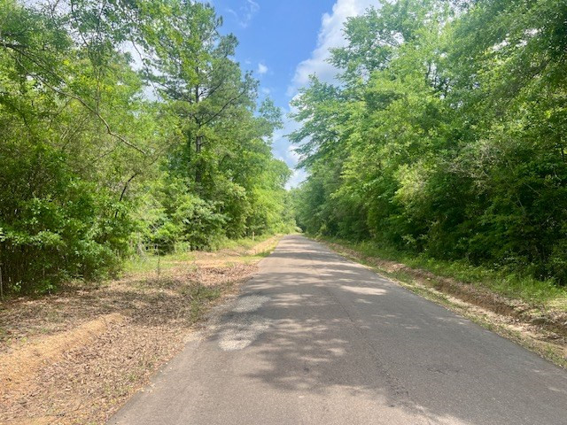 000 Jessie Stogner Road