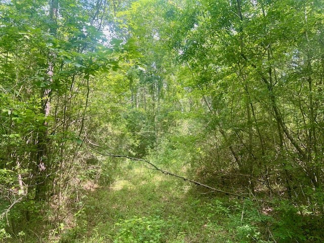 000 Jessie Stogner Road