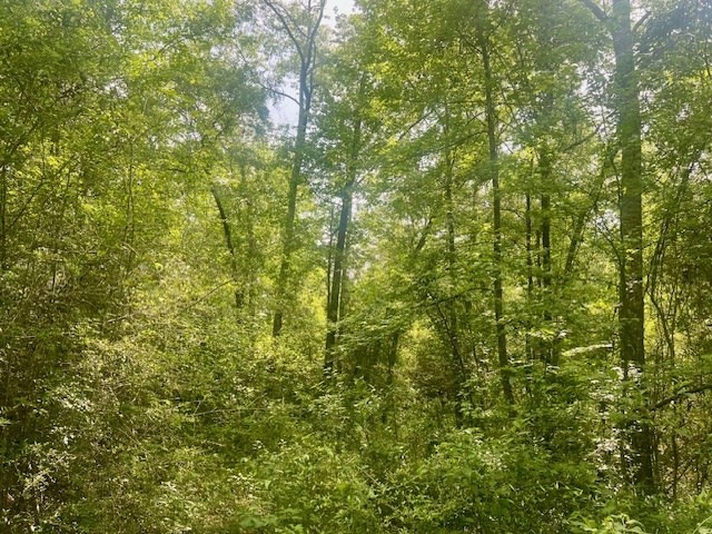 000 Jessie Stogner Road