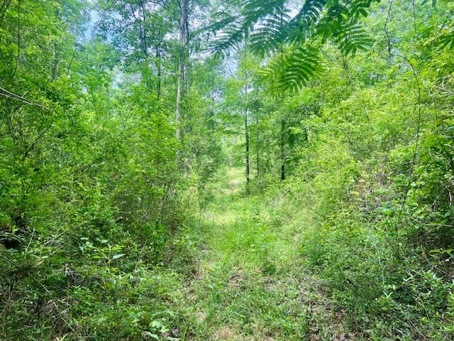 000 Jessie Stogner Road