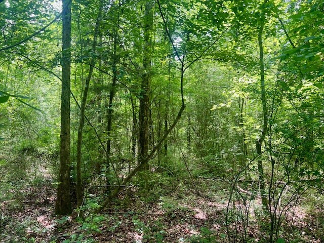 000 Jessie Stogner Road