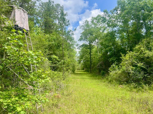 000 Jessie Stogner Road