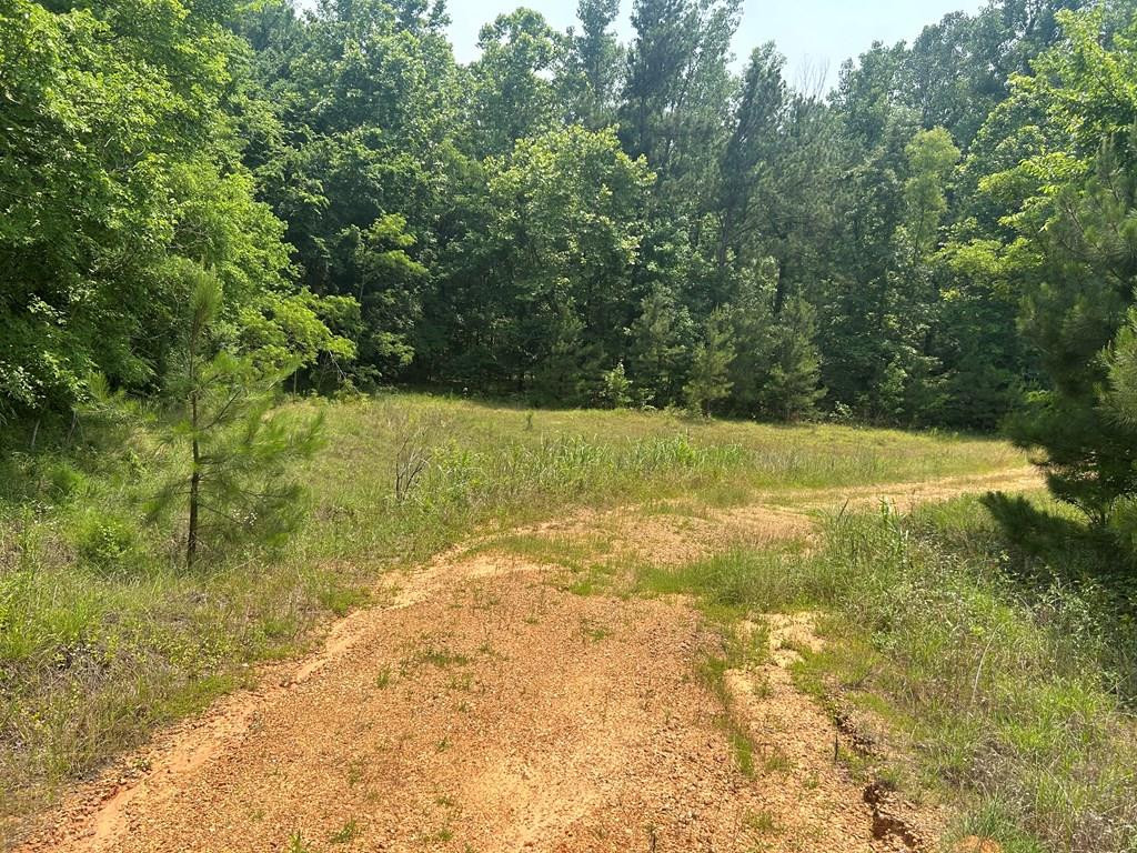 1 Old Highway 84 No 1