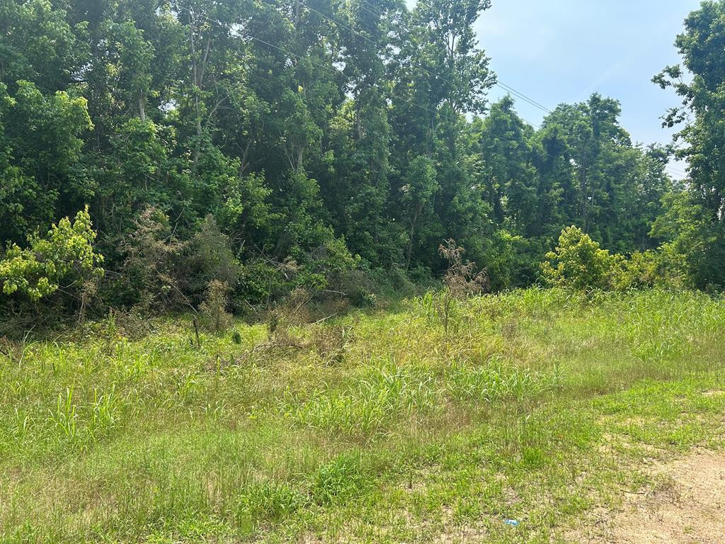 1 Old Highway 84 No 1