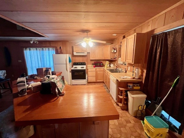 1162-B John Amacker Road