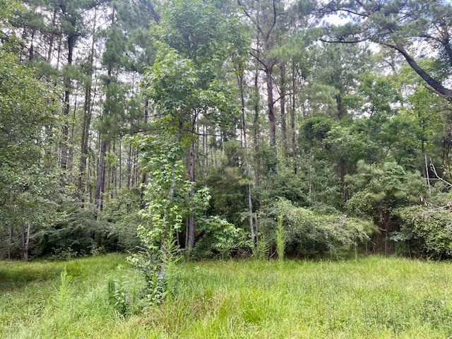 1162-B John Amacker Road