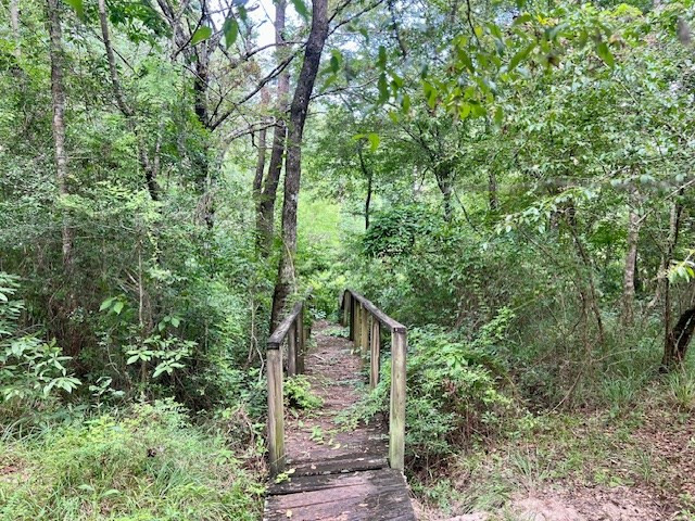 1162-B John Amacker Road