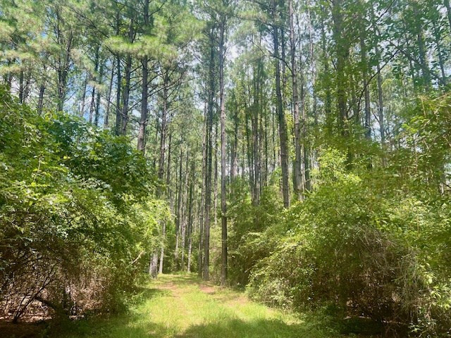 1162-B John Amacker Road