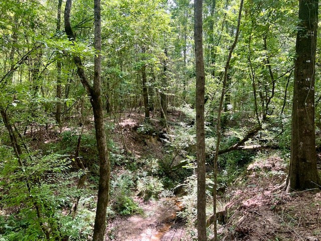 1162-B John Amacker Road