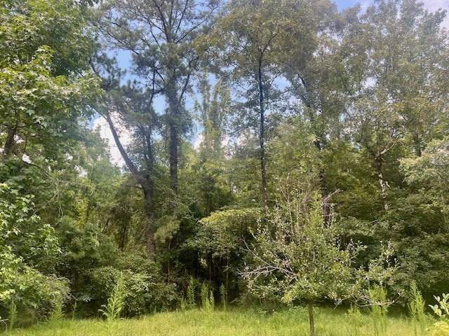 1162-B John Amacker Road