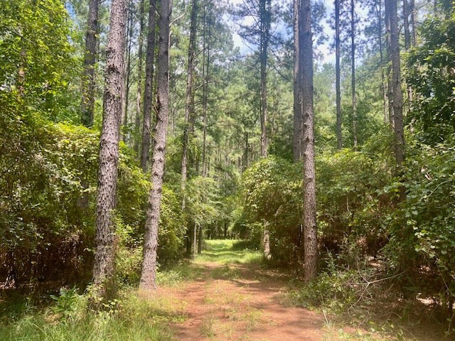 1162-B John Amacker Road