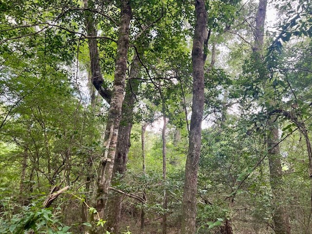 1162-B John Amacker Road