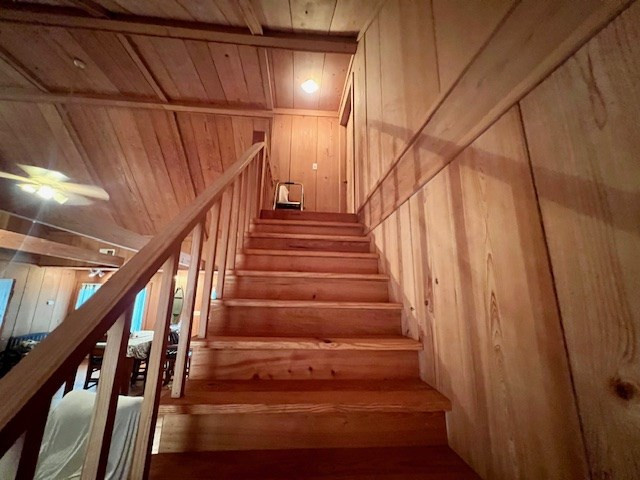 1162-B John Amacker Road