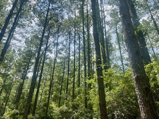 1162-B John Amacker Road