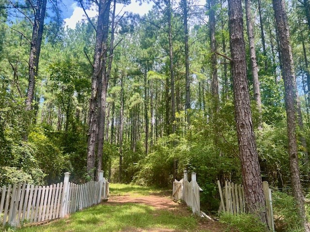 1162-B John Amacker Road