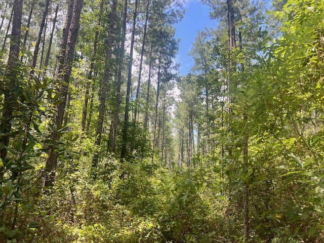 1162-B John Amacker Road