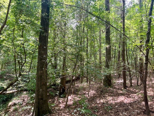 1162-B John Amacker Road