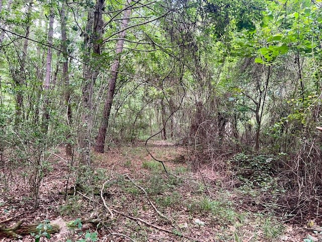 1162-B John Amacker Road