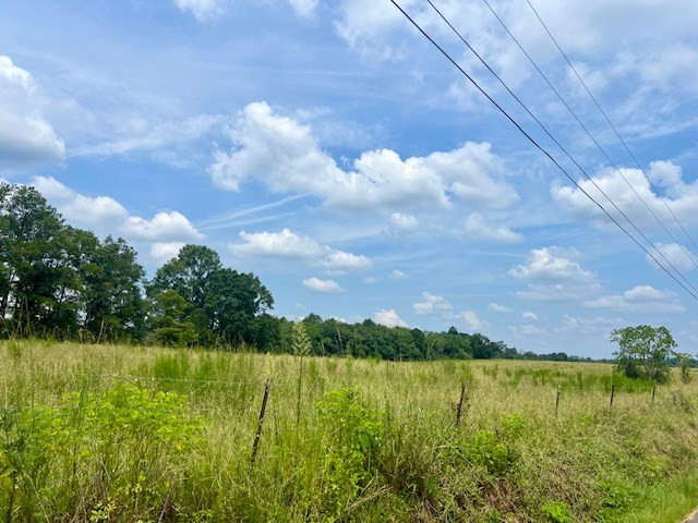 0 Hwy 60 & Dewitt Lane