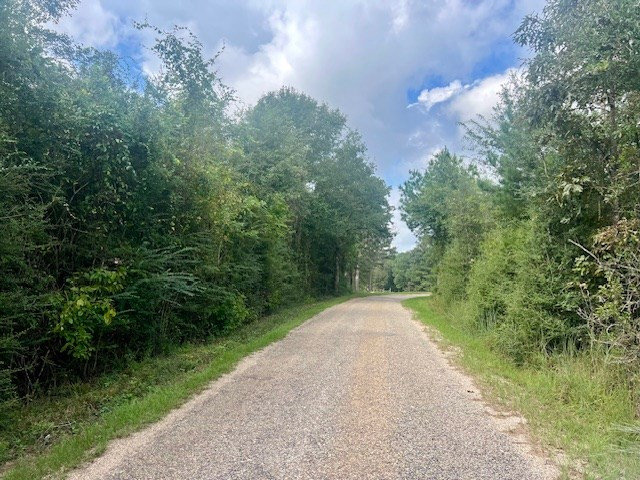 260 Albert Rayburn Road