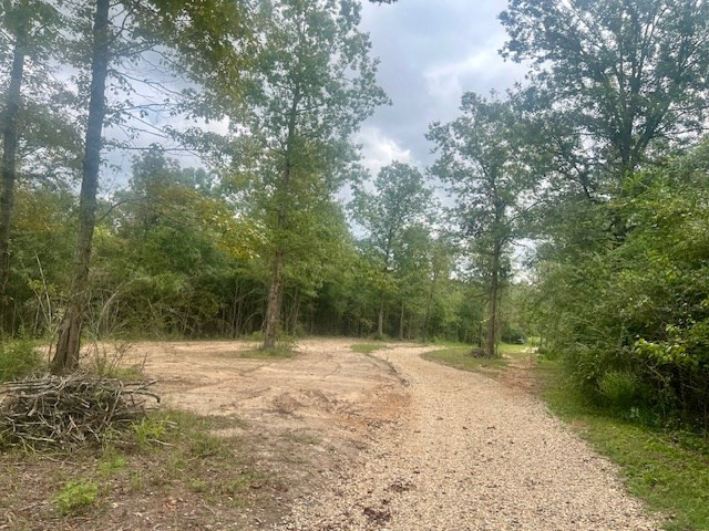 260 Albert Rayburn Road