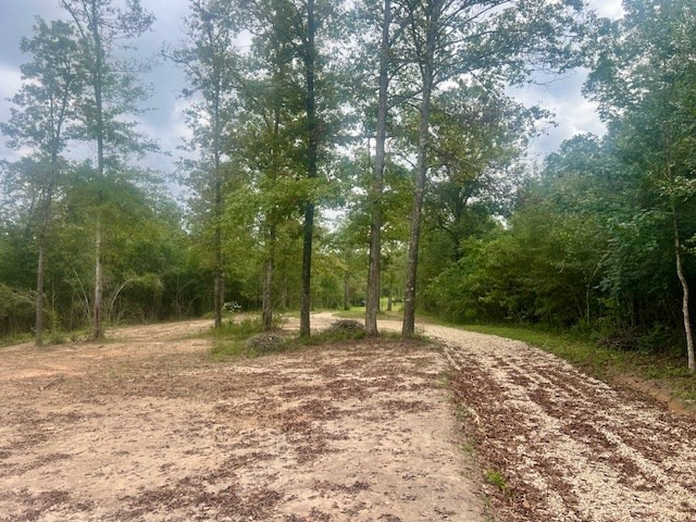 260 Albert Rayburn Road