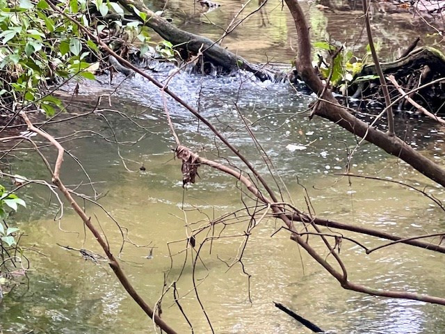 260 Albert Rayburn Road