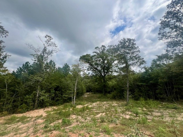 260 Albert Rayburn Road