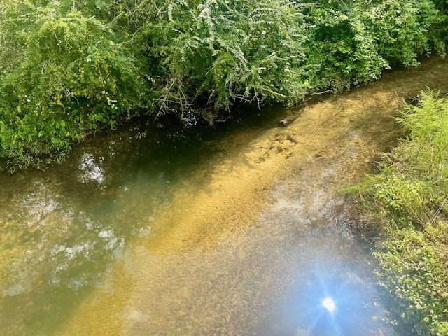 260 Albert Rayburn Road