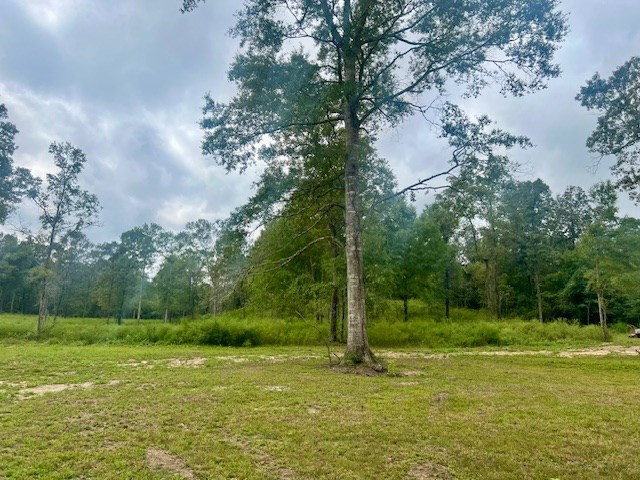 260 Albert Rayburn Road