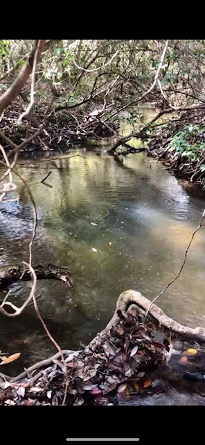 260 Albert Rayburn Road