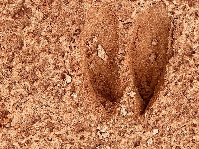 260 Albert Rayburn Road