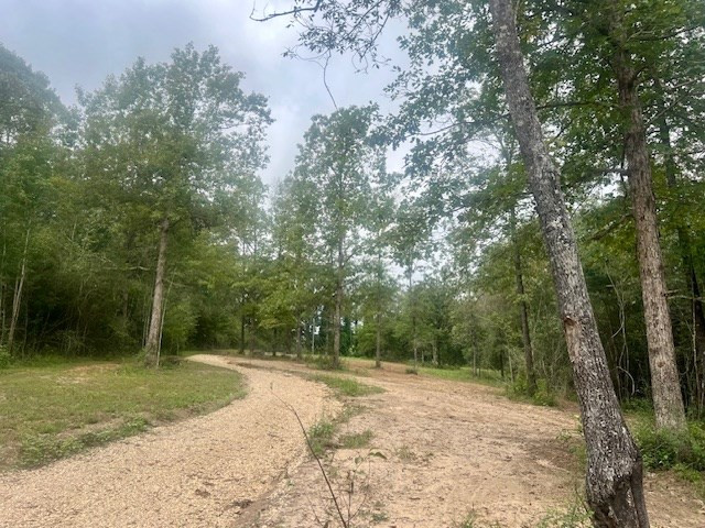 260 Albert Rayburn Road