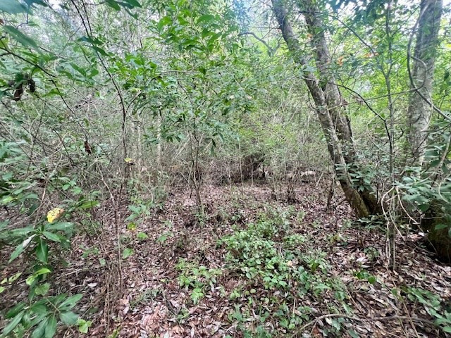 260 Albert Rayburn Road