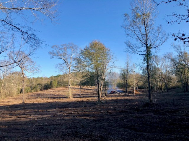 260 Albert Rayburn Road