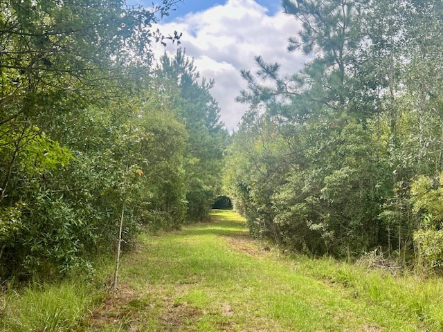 260 Albert Rayburn Road