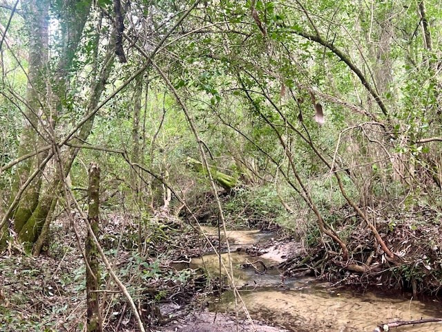 260 Albert Rayburn Road