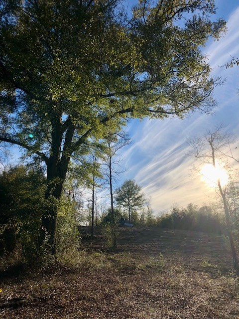 260 Albert Rayburn Road