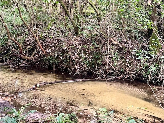 260 Albert Rayburn Road