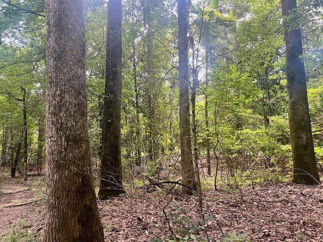 548 Quentin Road Se, McCall Creek