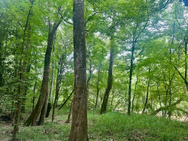 548 Quentin Road Se, McCall Creek