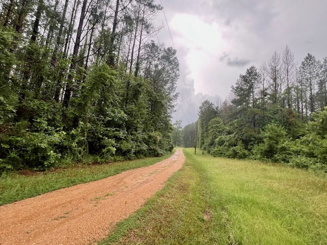 548 Quentin Road Se, McCall Creek