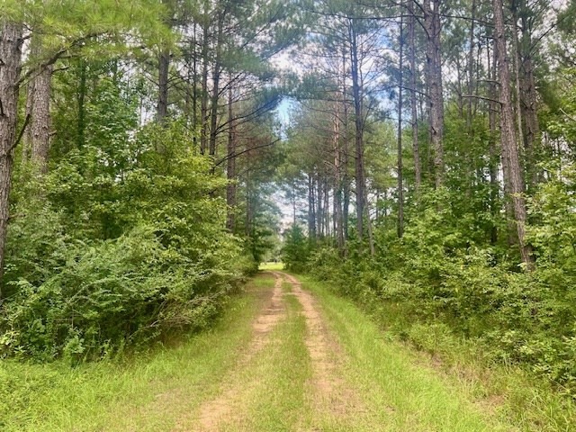 548 Quentin Road Se, McCall Creek