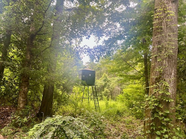 548 Quentin Road Se, McCall Creek