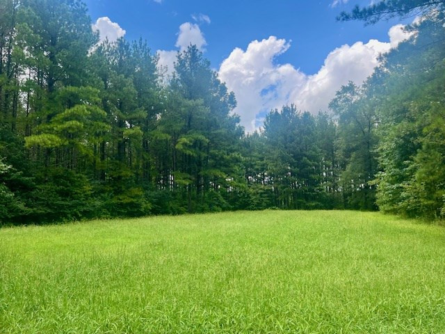 548 Quentin Road Se, McCall Creek