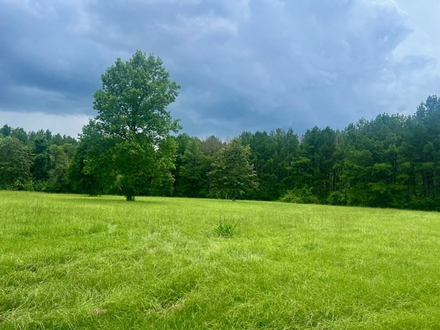 548 Quentin Road Se, McCall Creek