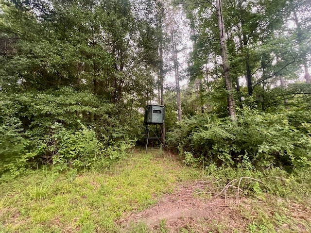 548 Quentin Road Se, McCall Creek