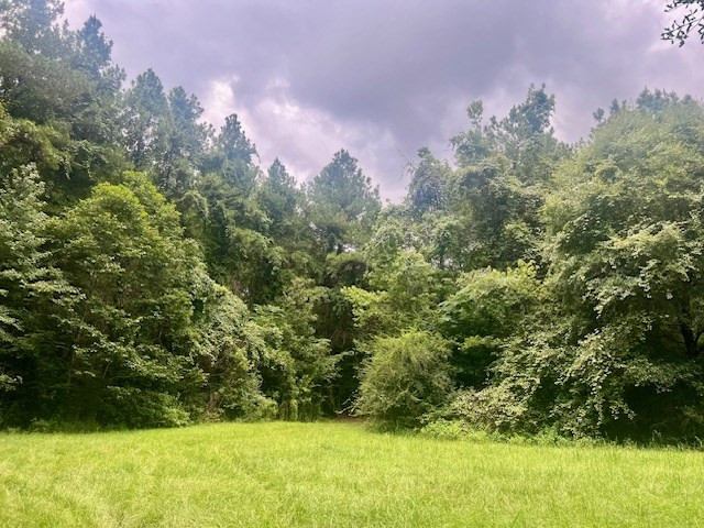 548 Quentin Road Se, McCall Creek